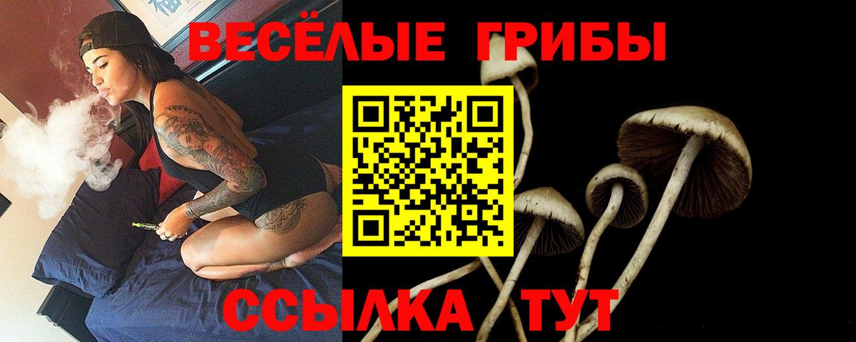 Псилоцибиновые грибы MAGIC MUSHROOMS Сергиев Посад