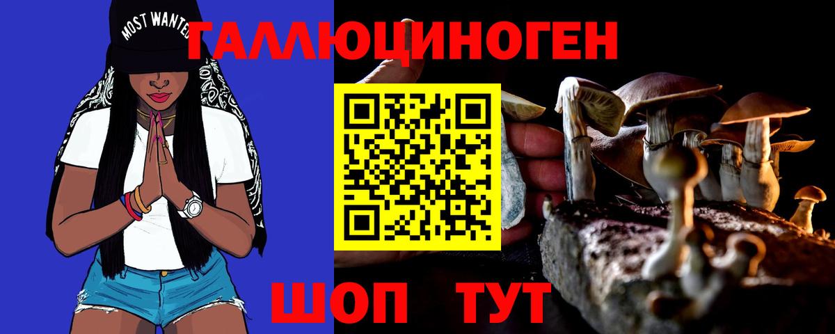 Галлюциногенные грибы GOLDEN TEACHER  наркошоп  Вход с VPN  Сергиев Посад  Псилоцибиновые грибы GOLDEN TEACHER 